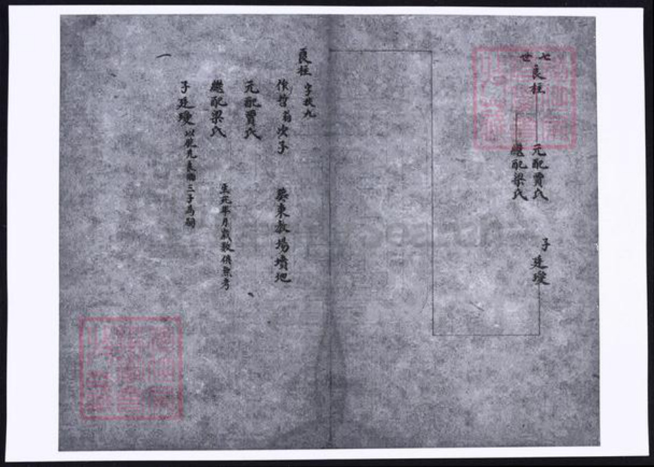 山西省晋中市孟氏族谱-祁县孟氏家谱.pdf电子版插图4