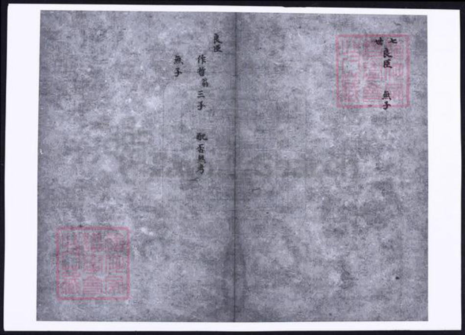 山西省晋中市孟氏族谱-祁县孟氏家谱.pdf电子版插图5