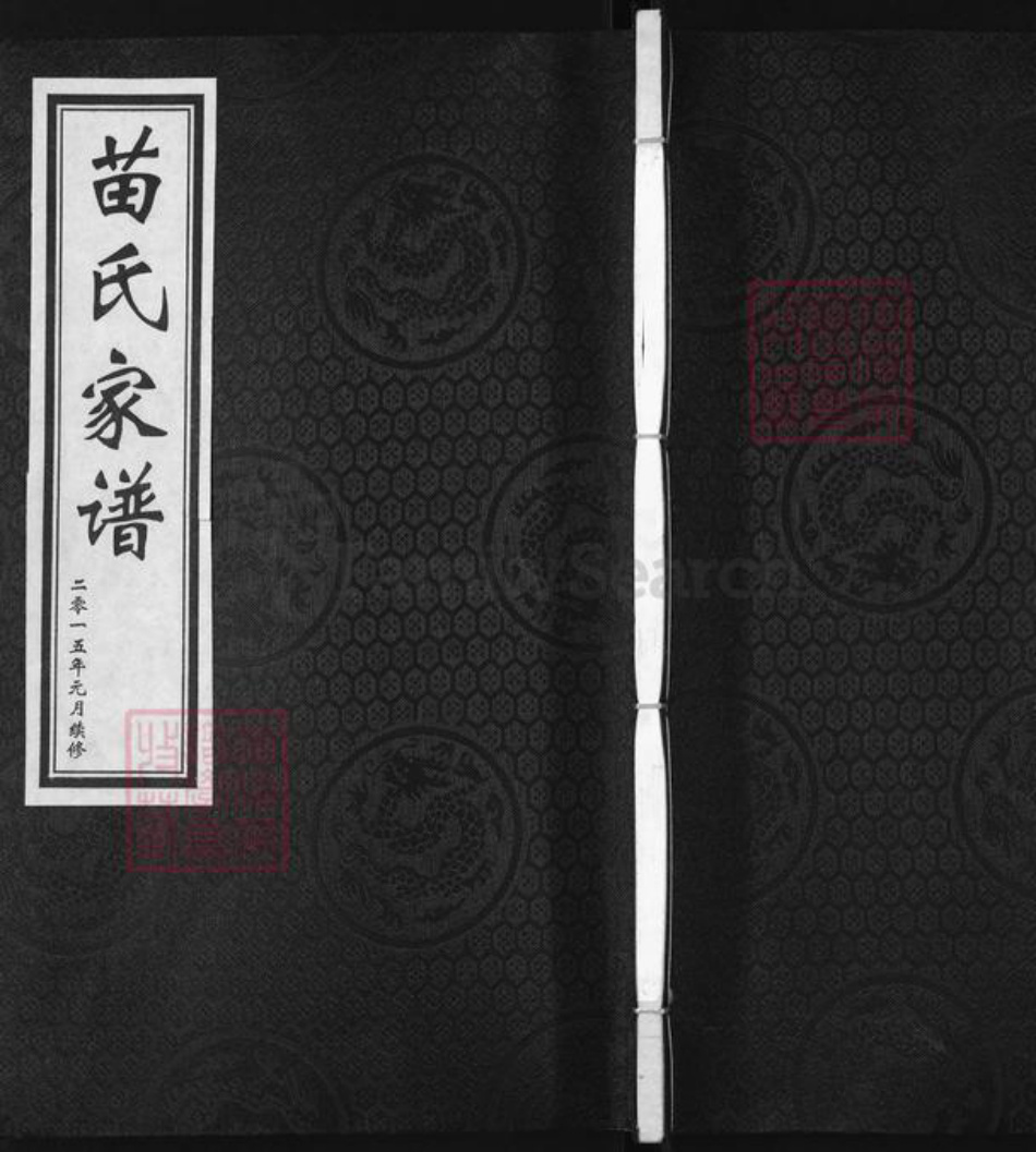 河北省沧州盐山县苗氏族谱-苗氏家谱.pdf电子版