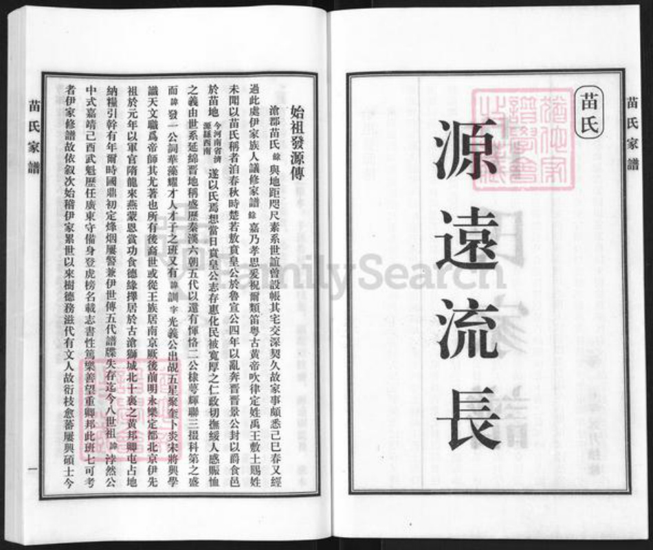 河北省沧州盐山县苗氏族谱-苗氏家谱.pdf电子版插图2