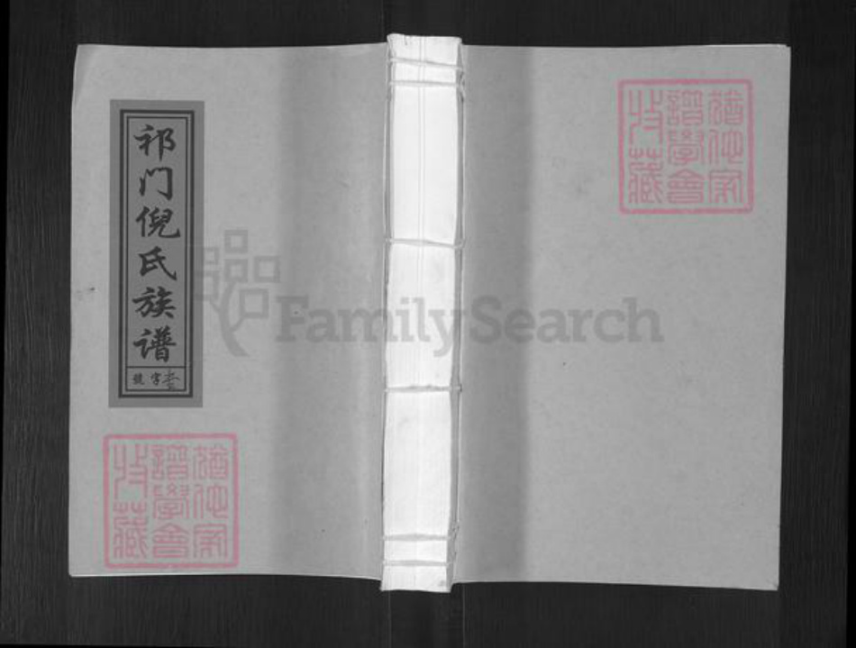 安徽省黄山市祁门县渚口乡倪氏贞一堂族谱-祁门倪氏族谱.pdf电子版插图