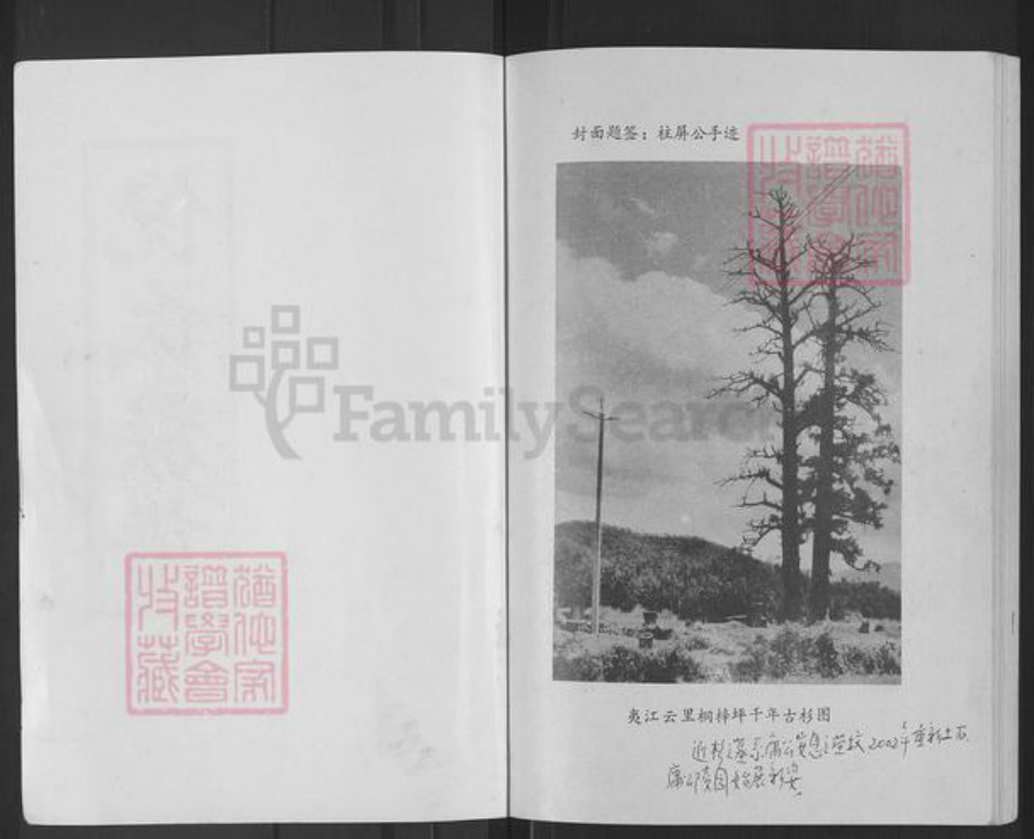 湖南省邵阳市新宁县倪氏锄经堂族谱-倪氏族谱.pdf电子版插图1