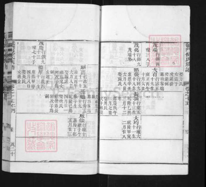 浙江省金华市婺城区倪氏族谱-龙门倪氏族谱.pdf电子版插图5 浙江省金华市婺城区倪氏族谱-龙门倪氏族谱.pdf电子版插图5