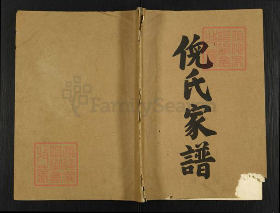 江苏省扬州市高邮市倪氏四箴堂族谱-倪氏家谱.pdf电子版