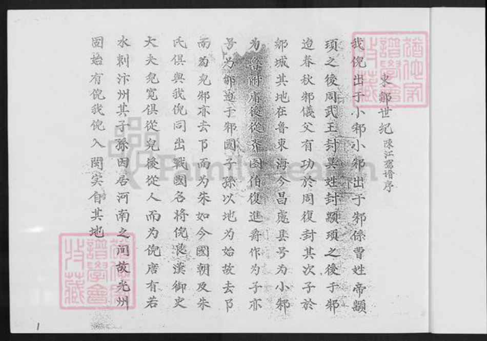 福建省泉州市安溪县倪氏族谱-清溪倪氏族谱.pdf电子版插图4