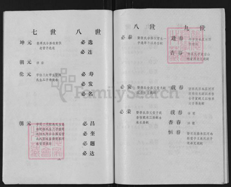 江苏省扬州市高邮市倪氏四箴堂族谱-倪氏家谱.pdf电子版插图5