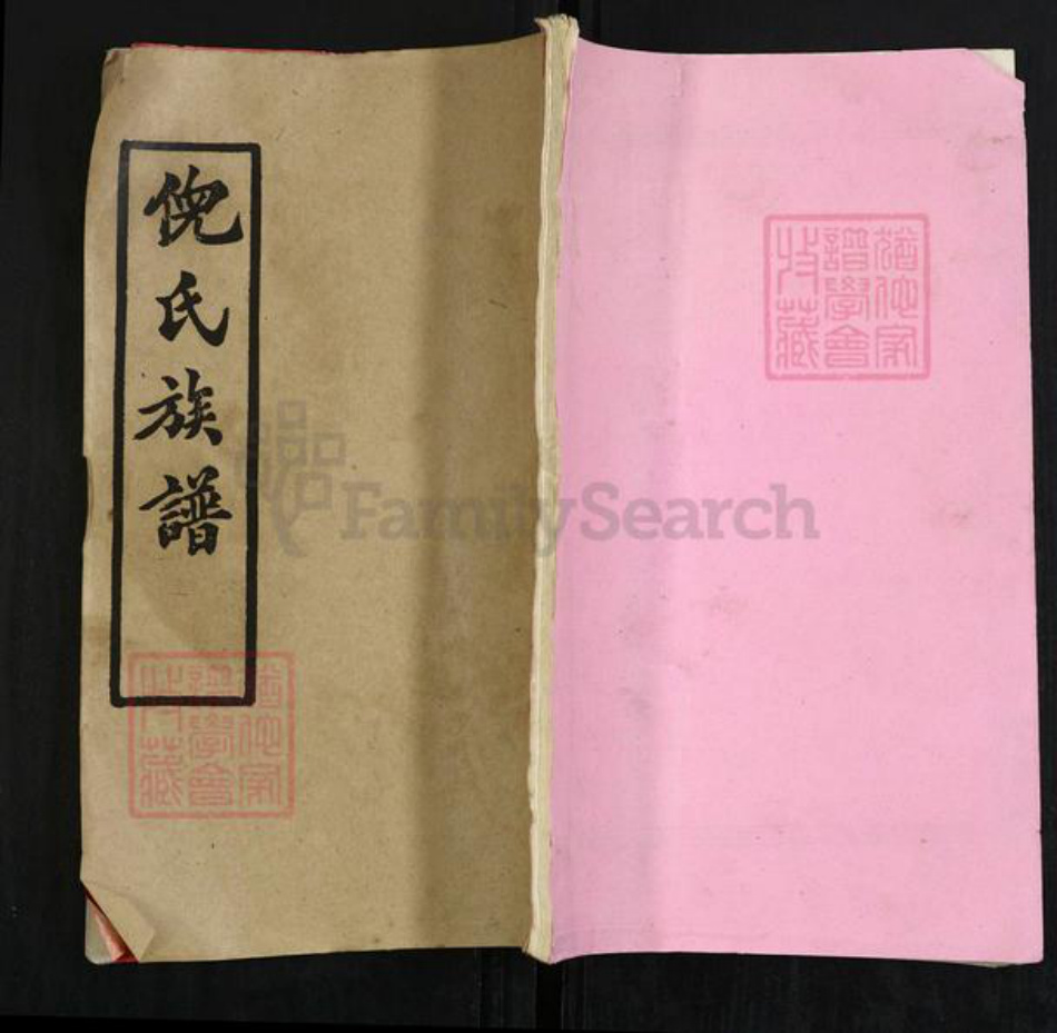 湖北省黄冈市英山县温泉镇倪氏重光堂族谱-倪氏族谱.pdf电子版插图