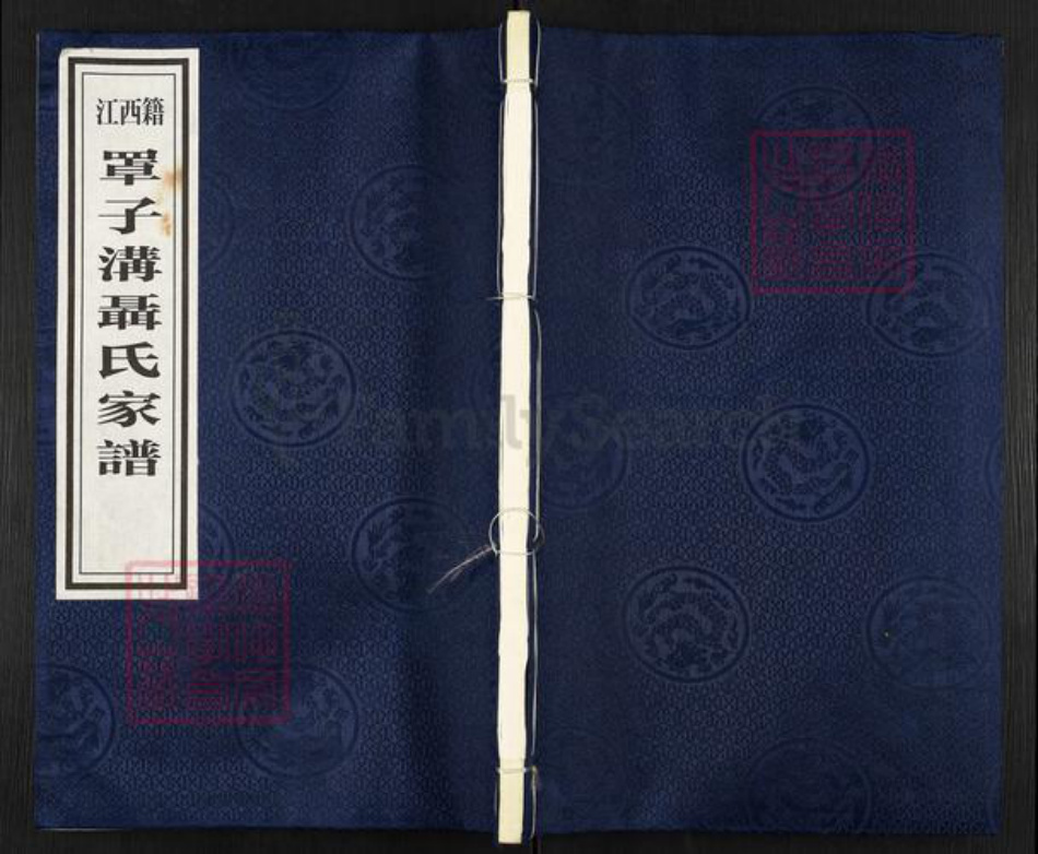 贵州省毕节市纳雍县维新镇聂氏三礼堂族谱-江西籍罩子沟聂氏家谱.pdf电子版插图 贵州省毕节市纳雍县维新镇聂氏三礼堂族谱-江西籍罩子沟聂氏家谱.pdf电子版插图