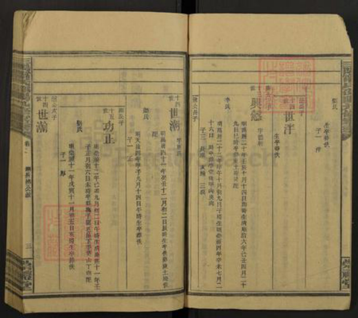 湖南省宁氏族谱-三阳宁氏邵阳第九修家乘[68册].pdf电子版插图3