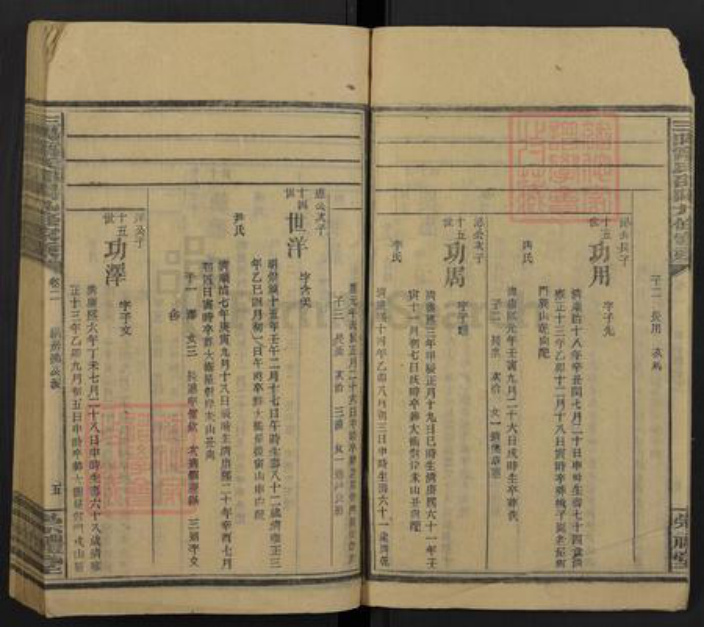 湖南省宁氏族谱-三阳宁氏邵阳第九修家乘[68册].pdf电子版插图5