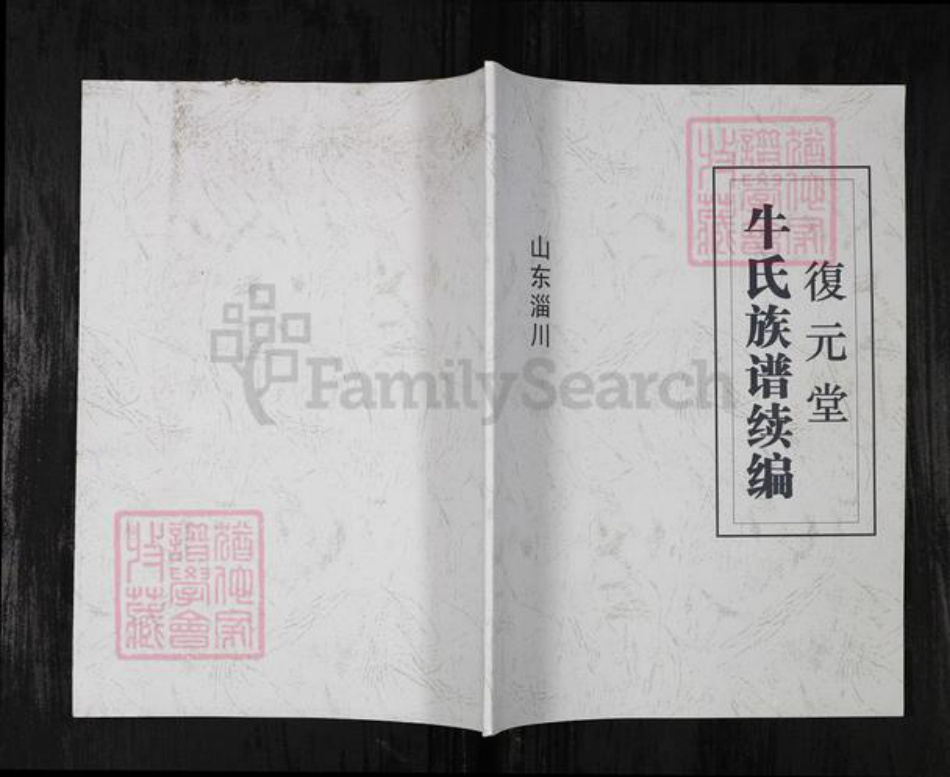 山东省淄博市淄川区牛氏族谱-复元堂牛氏族谱续编.pdf电子版