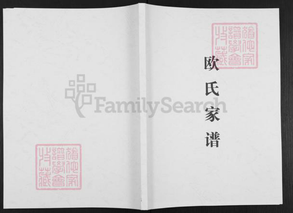 四川省广安市广安区恒升镇欧氏族谱-欧氏家谱.pdf电子版