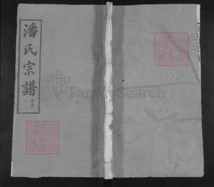 湖北省武汉市新洲区潘氏荥阳堂族谱-潘氏宗谱.pdf电子版