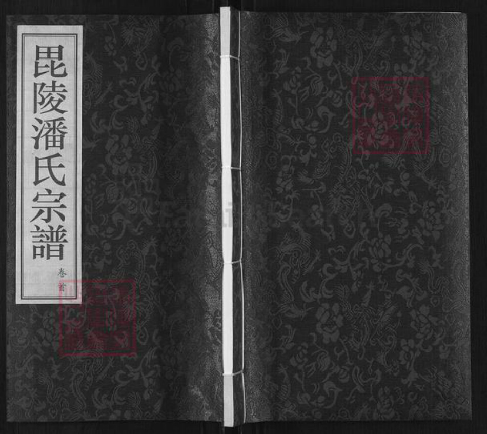 江苏省常州市金坛区直溪镇潘氏益贞堂族谱-毘陵潘氏宗谱.pdf电子版插图