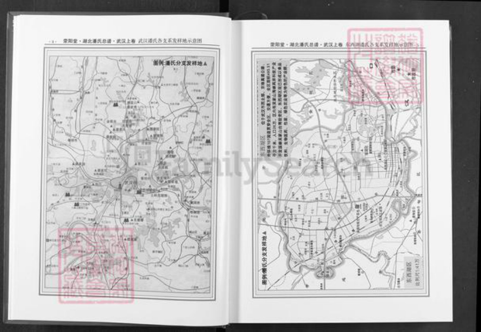 湖北省武汉市黄陂区潘氏荥阳堂族谱-湖北潘氏总谱.pdf电子版插图3