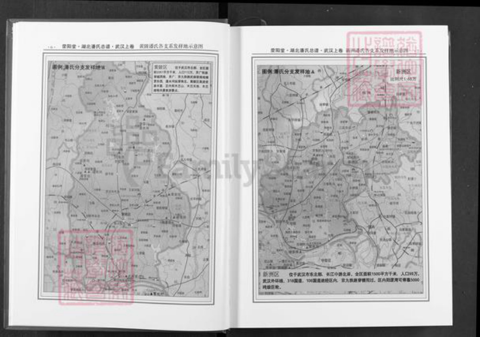 湖北省武汉市黄陂区潘氏荥阳堂族谱-湖北潘氏总谱.pdf电子版插图4