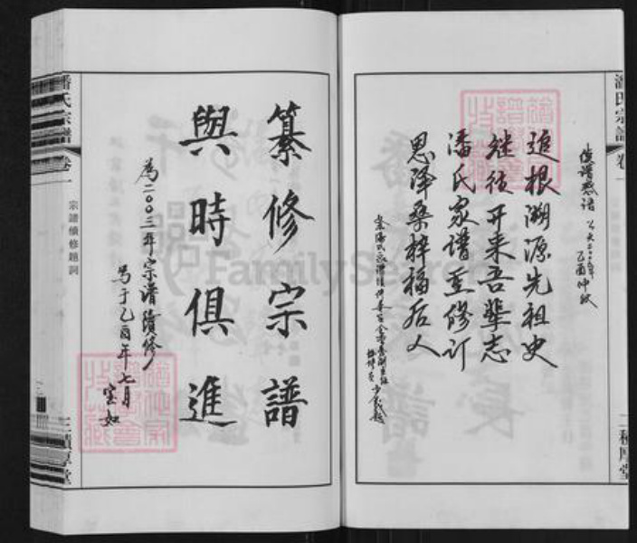 江苏省无锡市江阴市祝塘镇潘氏积厚堂族谱-中国江苏江阴阴文林潘氏宗谱.pdf电子版插图5