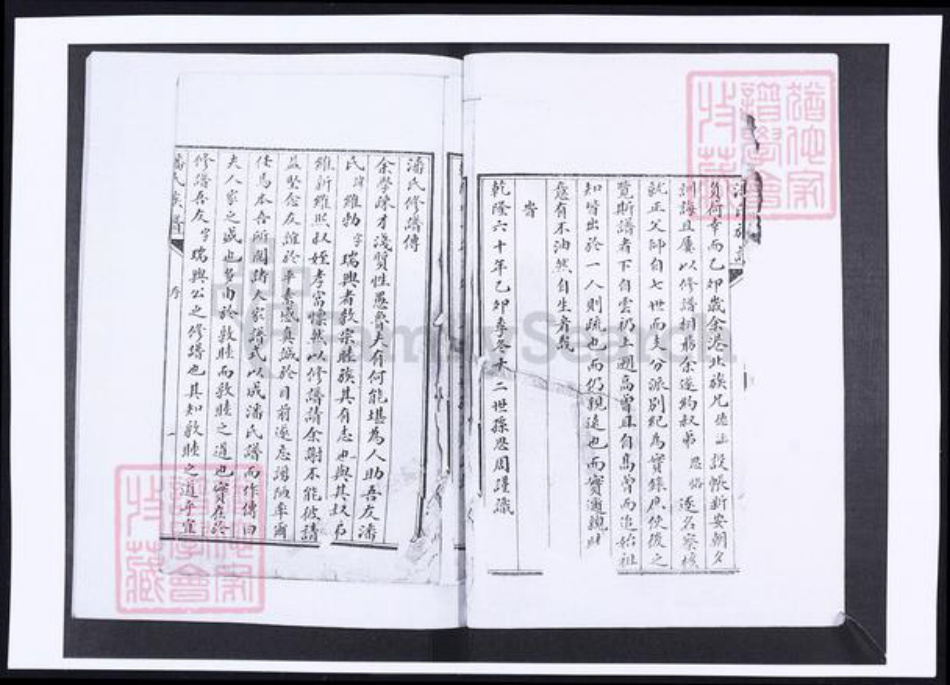 山东省青岛市即墨区潘氏族谱-墨邑潘氏族谱.pdf电子版插图2 山东省青岛市即墨区潘氏族谱-墨邑潘氏族谱.pdf电子版插图2