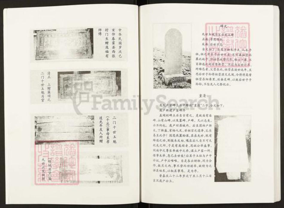 山西省临汾市汾西县团柏乡庞氏族谱-庞氏家谱.pdf电子版插图3 山西省临汾市汾西县团柏乡庞氏族谱-庞氏家谱.pdf电子版插图3