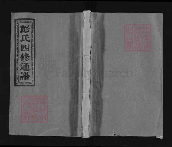 湖南省娄底市新化县彭氏族谱-彭氏四修通谱.pdf电子版插图