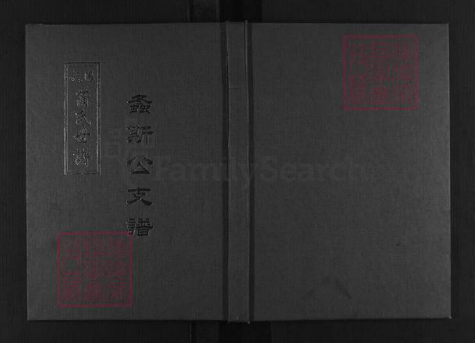 山东省淄博市淄川区蒲氏族谱-般阳蒲氏世谱.螽思公支谱.pdf电子版
