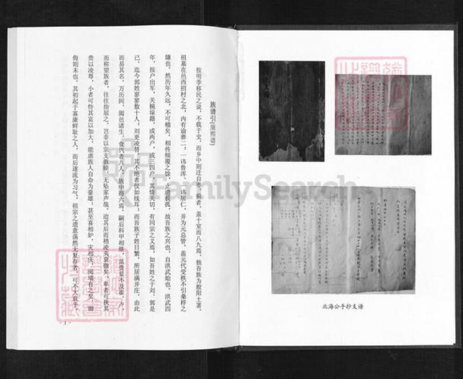 山东省淄博市淄川区蒲氏族谱-般阳蒲氏世谱.螽思公支谱.pdf电子版插图1