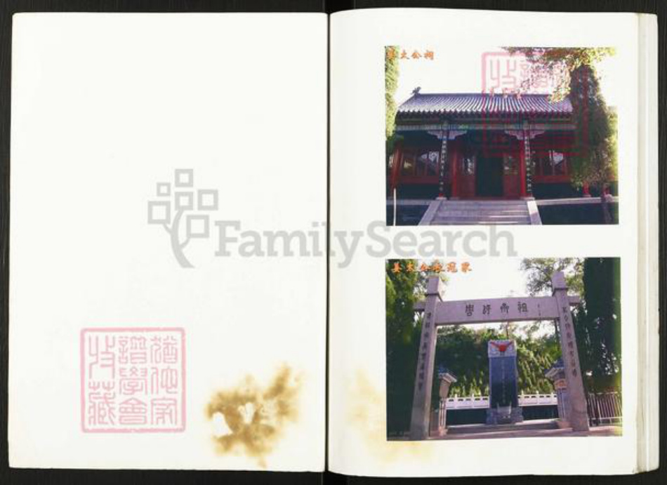 河南省南阳市新野县齐氏族谱-齐恒支族家谱.pdf电子版插图1