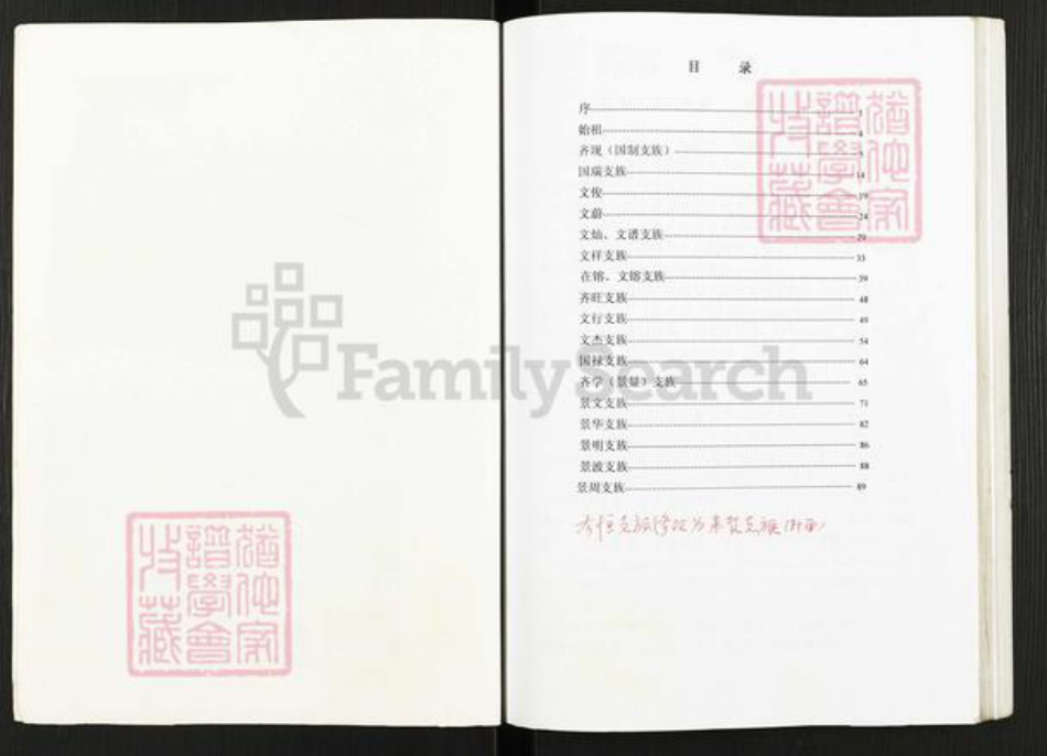 河南省南阳市新野县齐氏族谱-齐恒支族家谱.pdf电子版插图2