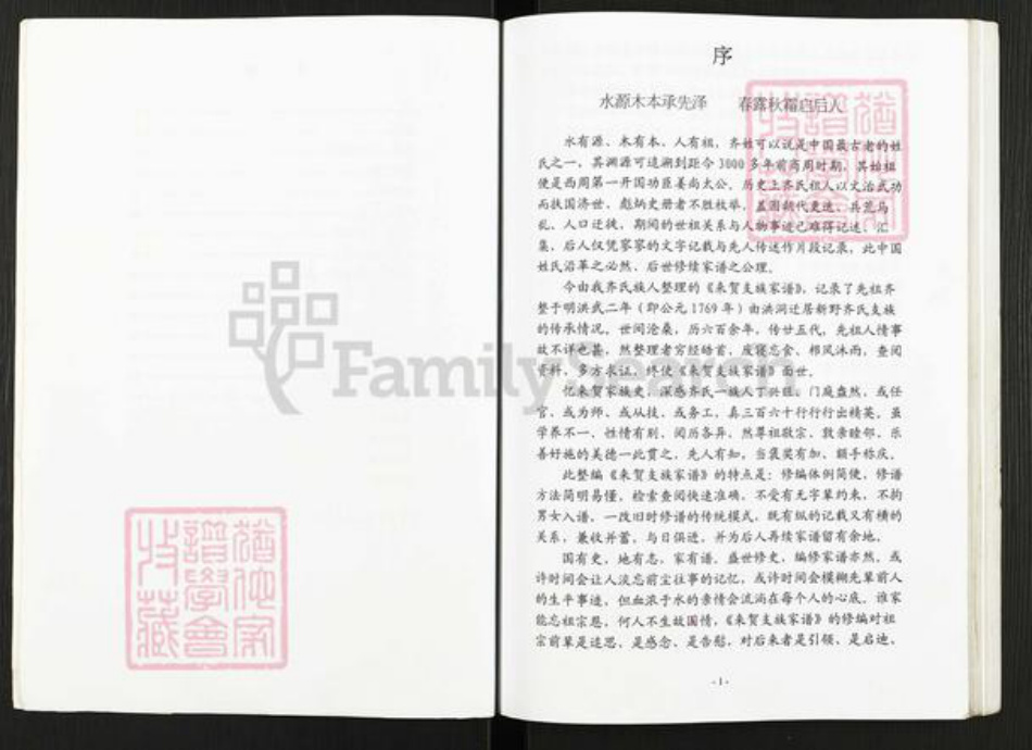 河南省南阳市新野县齐氏族谱-齐恒支族家谱.pdf电子版插图3