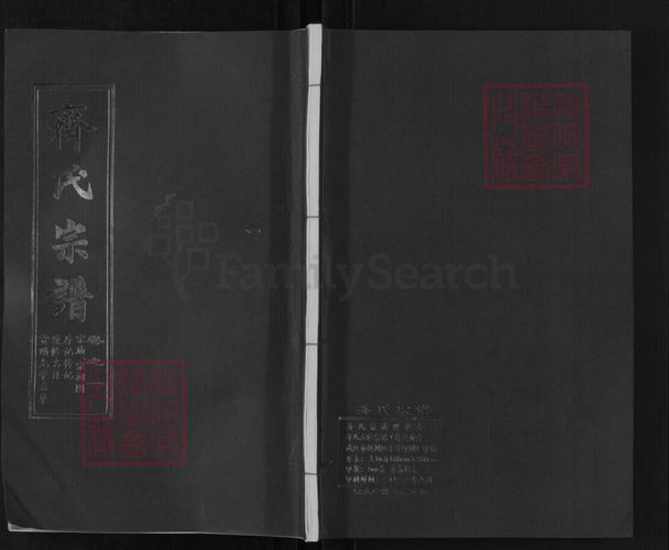 湖北省黄冈市团风县齐氏尚本堂族谱-齐氏宗谱.pdf电子版插图
