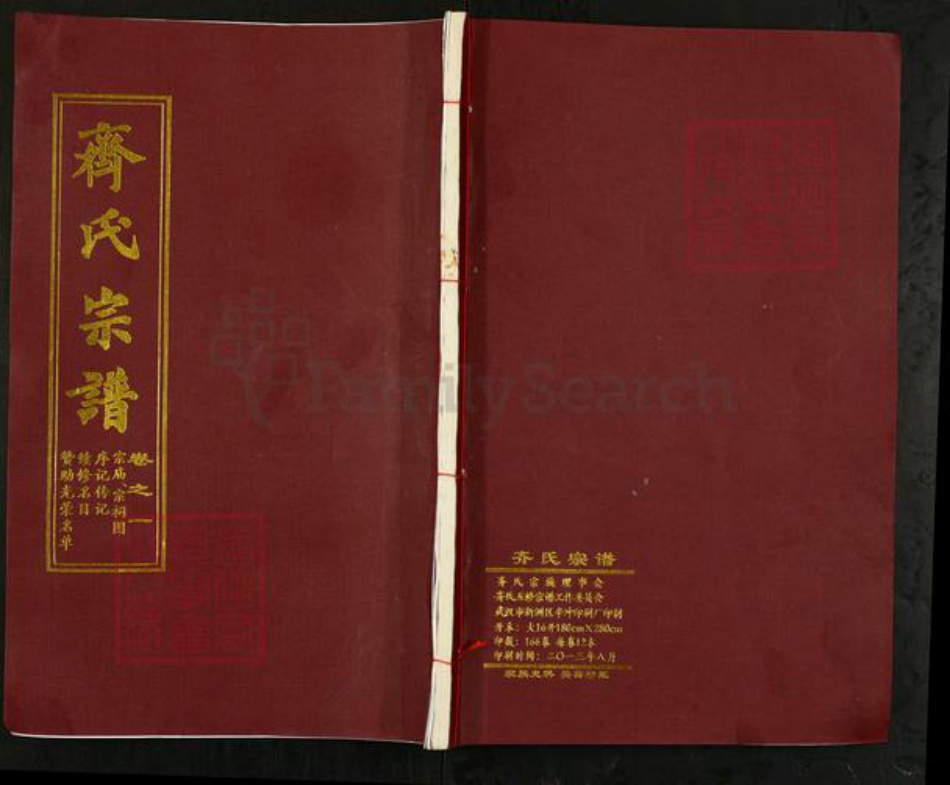 湖北省黄冈市团风县齐氏尚本堂族谱-齐氏宗谱.pdf电子版插图