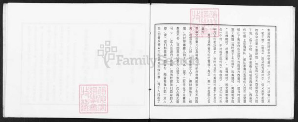 山西省忻州市定襄县杨芳乡乔氏族谱-山西定襄西营村乔家族谱.pdf电子版插图4