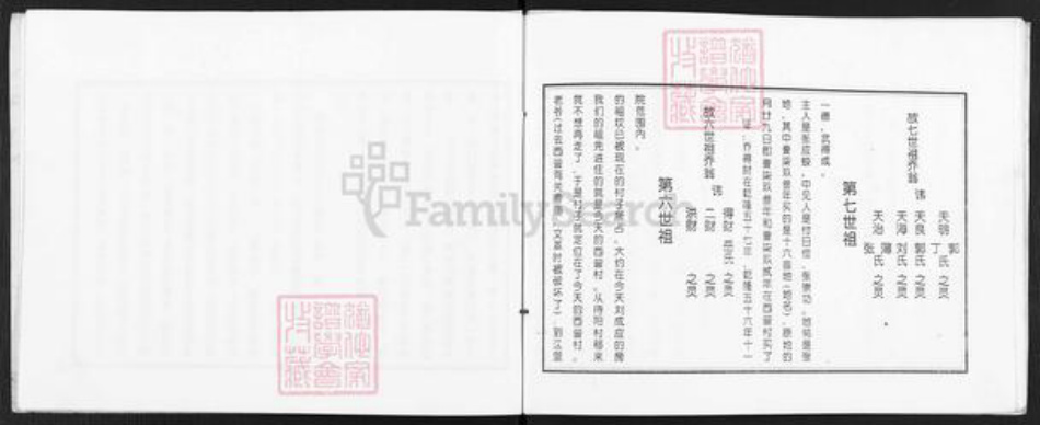 山西省忻州市定襄县杨芳乡乔氏族谱-山西定襄西营村乔家族谱.pdf电子版插图5