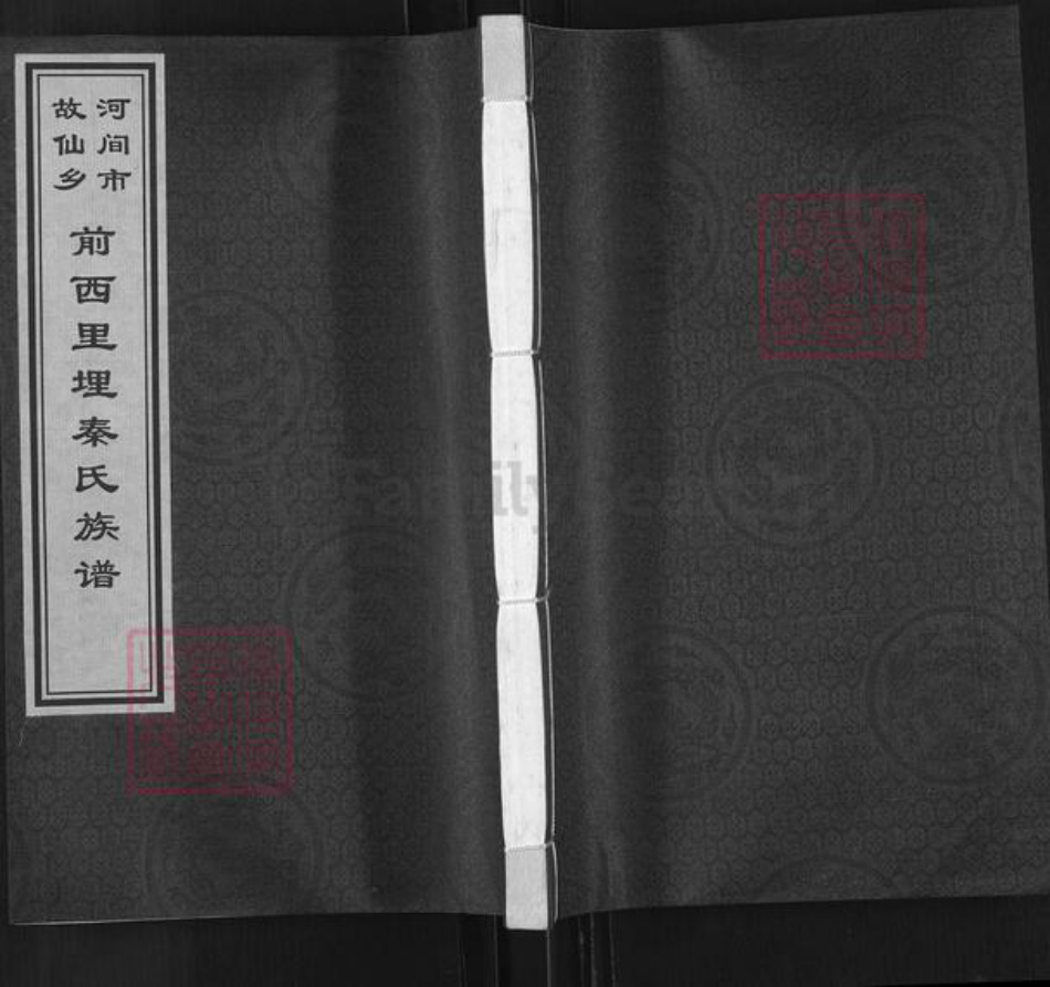 河北省沧州河间市故仙乡秦氏族谱-前西里埋秦氏族谱.pdf电子版