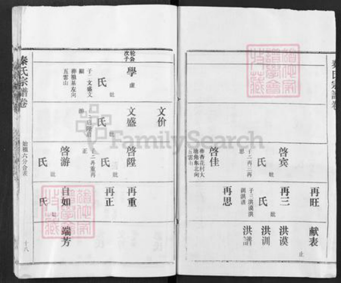 湖北省黄冈市红安县杏花乡秦氏寿乐堂族谱-秦氏族谱.pdf电子版插图2