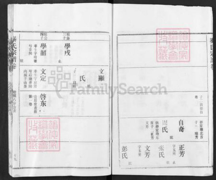 湖北省黄冈市红安县杏花乡秦氏寿乐堂族谱-秦氏族谱.pdf电子版插图3