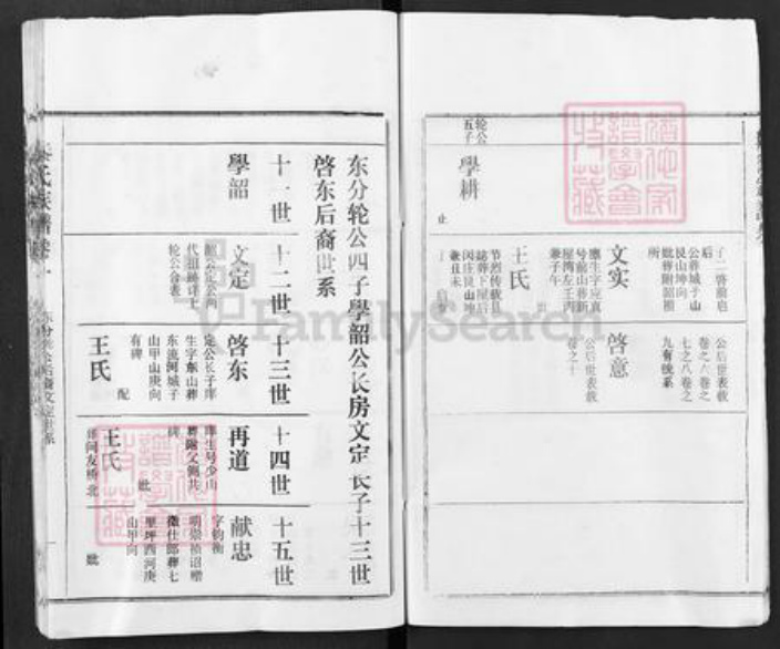 湖北省黄冈市红安县杏花乡秦氏寿乐堂族谱-秦氏族谱.pdf电子版插图5