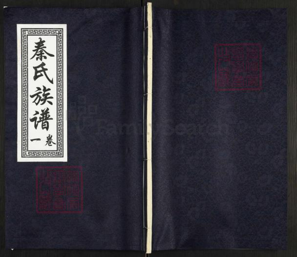 山东省济宁市汶上县康驿镇秦氏族谱-秦氏族谱.pdf电子版插图 山东省济宁市汶上县康驿镇秦氏族谱-秦氏族谱.pdf电子版插图