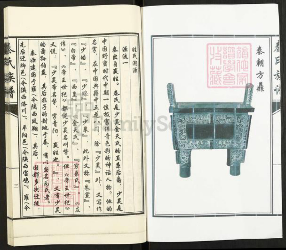 山东省济宁市汶上县康驿镇秦氏族谱-秦氏族谱.pdf电子版插图3 山东省济宁市汶上县康驿镇秦氏族谱-秦氏族谱.pdf电子版插图3