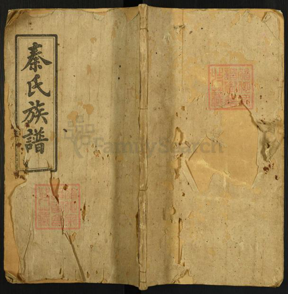 湖南省岳阳市湘阴县江西省吉安市秦氏天水堂族谱-秦氏族谱.pdf电子版