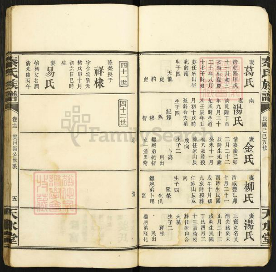 湖南省岳阳市湘阴县江西省吉安市秦氏天水堂族谱-秦氏族谱.pdf电子版插图5