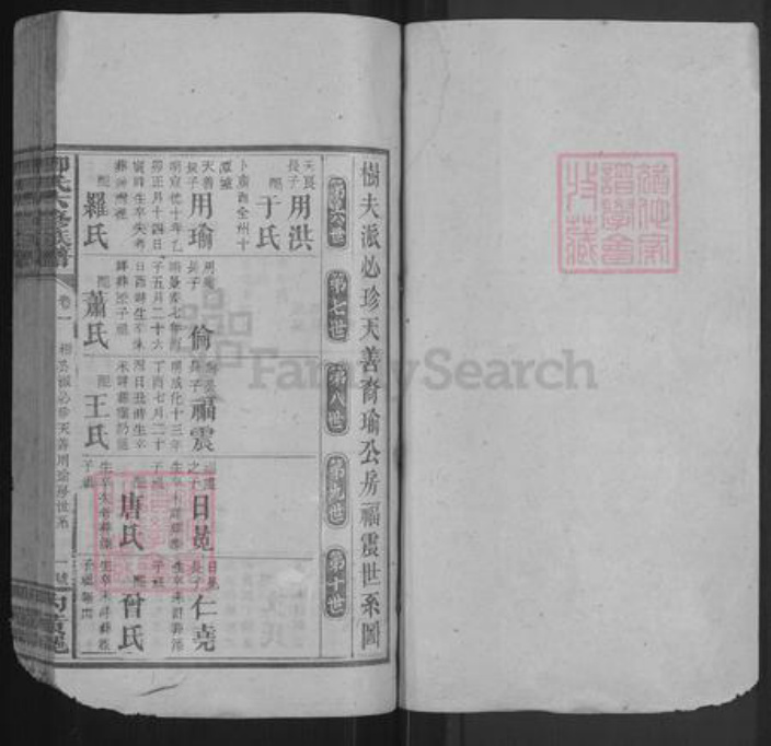 湖南省邵阳市卿氏族谱-卿氏六修族谱.pdf电子版插图1