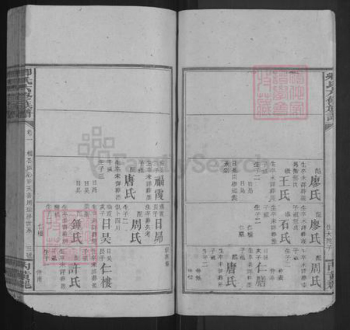 湖南省邵阳市卿氏族谱-卿氏六修族谱.pdf电子版插图3