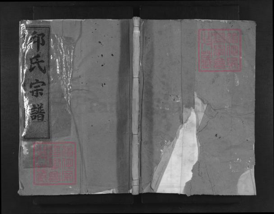 浙江省衢州龙游县邱氏族谱-河南邱氏宗谱.pdf电子版