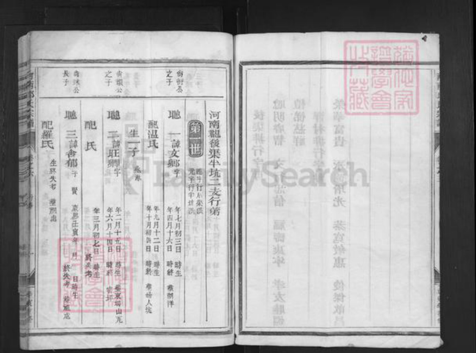 浙江省衢州龙游县邱氏族谱-河南邱氏宗谱.pdf电子版插图2