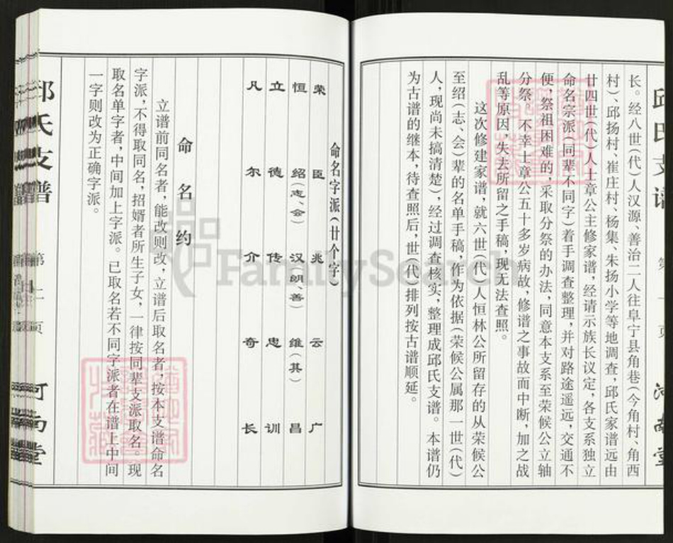 江苏省盐城市建湖县近湖街道邱氏河南堂族谱-邱氏支谱.pdf电子版插图3