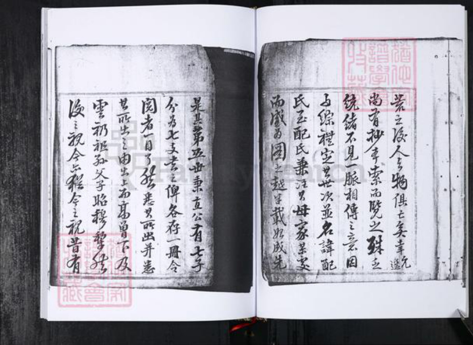 山东省青岛市邱氏族谱-邱氏族谱.长直.pdf电子版插图3