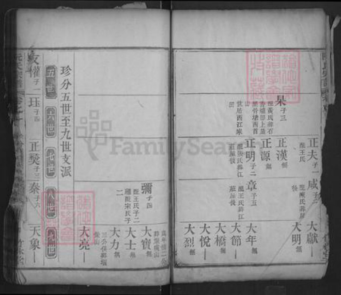 湖北省黄冈市红安县阮氏竹林堂族谱-阮氏宗谱.pdf电子版插图4