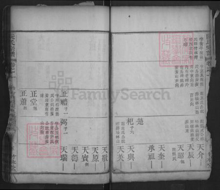 湖北省黄冈市红安县阮氏竹林堂族谱-阮氏宗谱.pdf电子版插图5