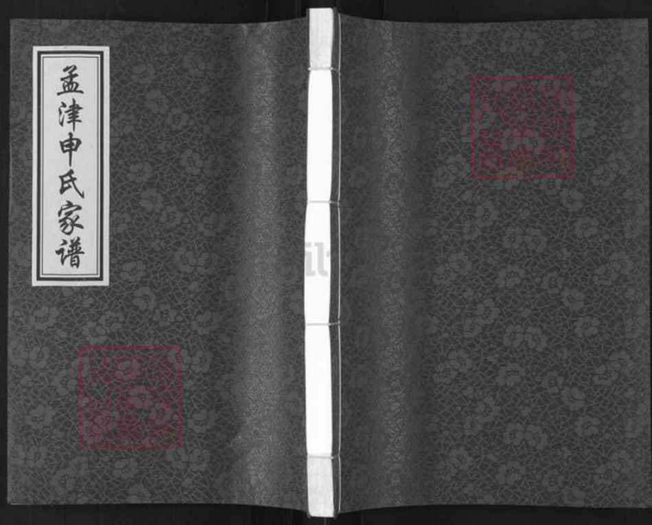 河南省洛阳市孟津县麻屯镇申氏族谱-孟津申氏家谱.pdf电子版